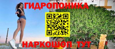 сатива Комсомольск-на-Амуре