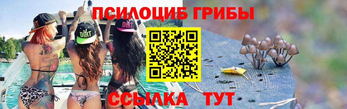 Псилоцибиновые грибы Magic Shrooms Десногорск